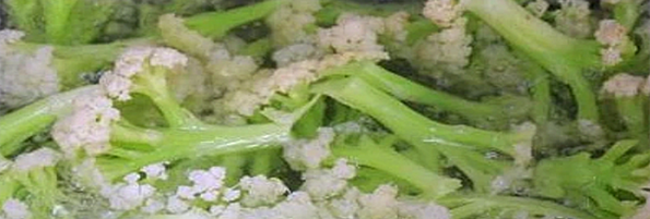 焯煮、油炸設(shè)備
